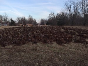 soon to be 10,000 sq feet of garden bliss (hopefully not nightmare) 